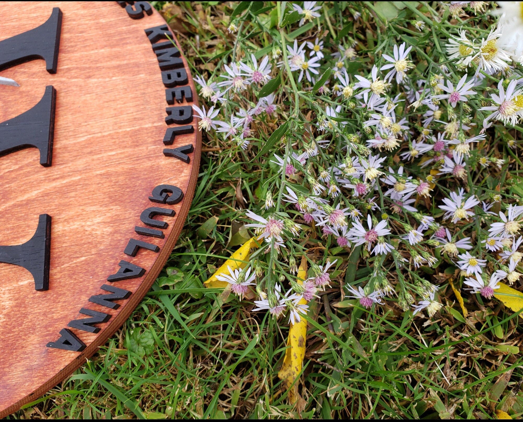 Personalized Family Established Sign, Last Name Sign For Wall, Wooden Name Sign, Last Name Decor, Family Last Name Sign, Custom Wedding Sign